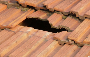 roof repair Bonnington