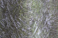 Bonnington fibreglass roof work